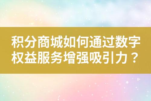 积分商城如何通过数字权益服务增强吸引力?