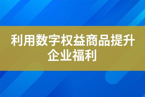利用数字权益商品提升企业福利