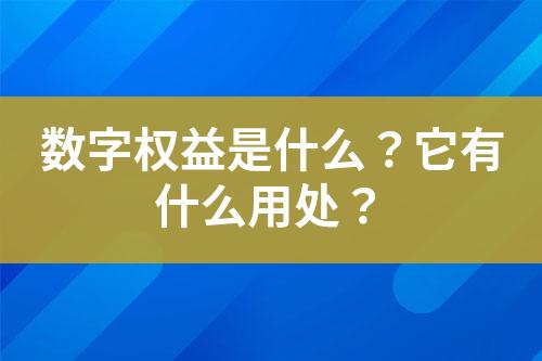 数字权益是什么?它有什么用处?