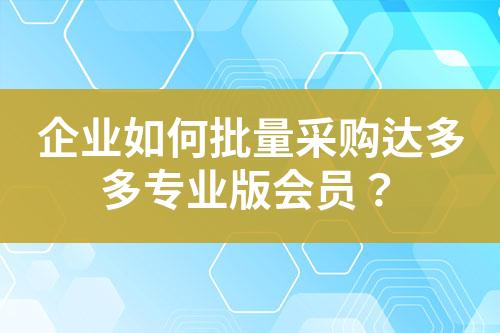 企业如何批量采购达多多专业版会员?