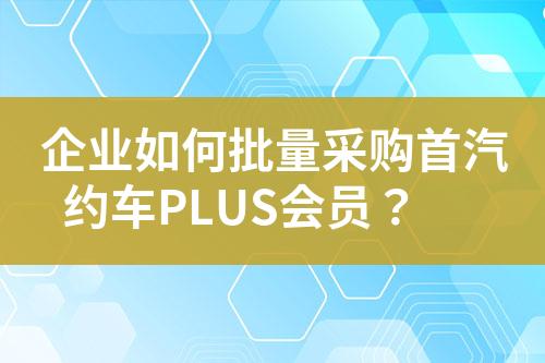 企业如何批量采购首汽约车PLUS会员?