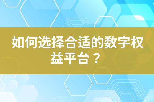 如何选择合适的数字权益平台?