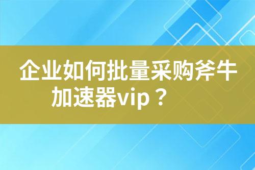 企业如何批量采购斧牛加速器vip?