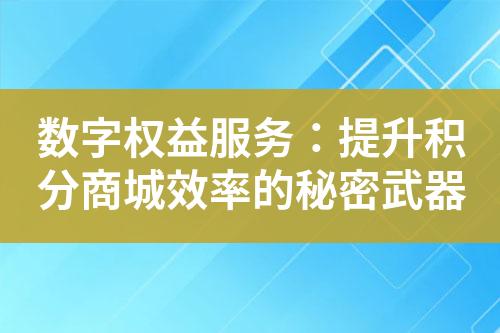 数字权益服务:提升积分商城效率的秘密武器