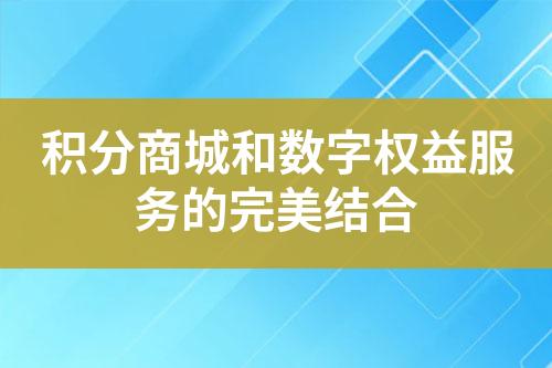 积分商城和数字权益服务的完美结合