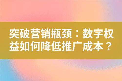 突破营销瓶颈:数字权益如何降低推广成本?